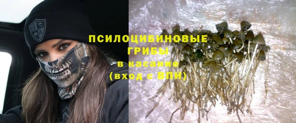 хмурый Сясьстрой