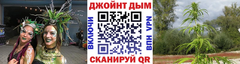 Купить закладки  Бежецк  Конопля VHQ 